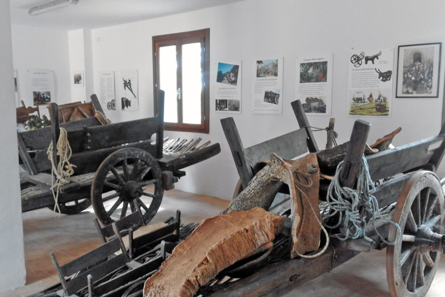 Il museo del Carro a Buoi