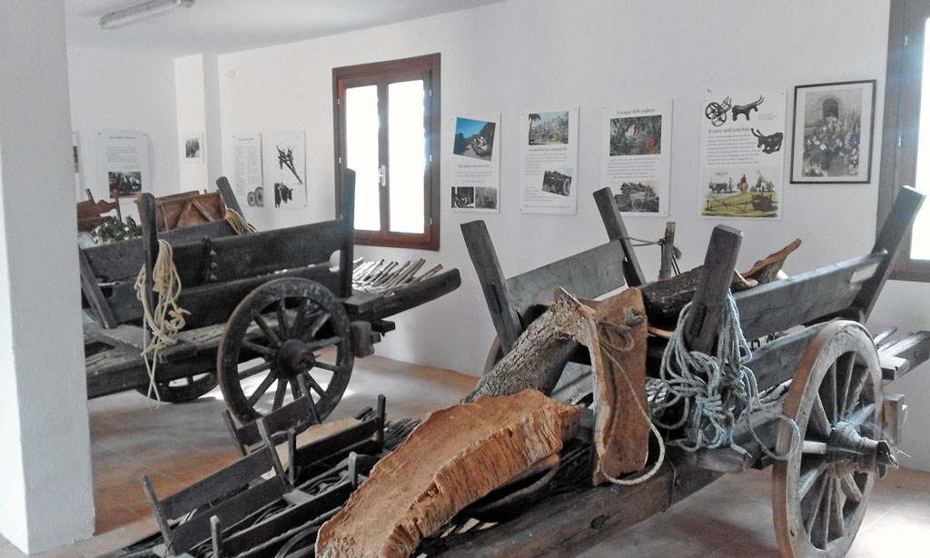 Il museo del Carro a Buoi